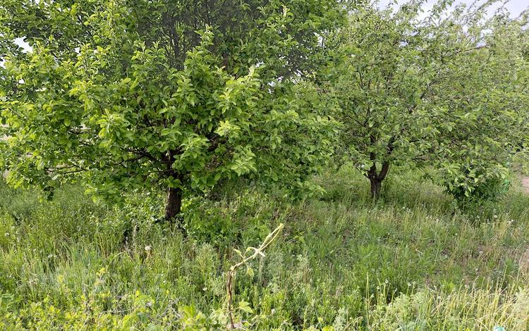 Дача · 2 комнаты · 25 м² · 22 сот., Цветочная за 25 млн ₸ в Кояндах — фото 8