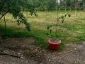 Отдельный дом · 5 комнат · 100 м² · 10 сот., Барибаева 3 — Сапиева за 36 млн ₸ в Жандосов — фото 6