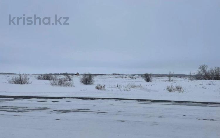 Участок · 12.42 сотки, Сарыкольский район, п. Сарыколь 13 за 700 000 ₸ в Костанайской обл. — фото 2