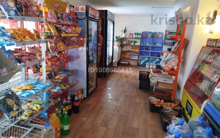 Дүкендер мен бутиктер · 193 м², бағасы: 11 млн ₸ в Индер — фото 3