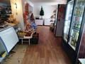 Магазины и бутики · 193 м² за 11 млн ₸ в Индер — фото 3