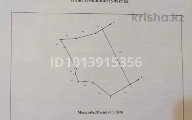 Жер телімі · 6 га, Катон-Қарагай, бағасы: 20 млн ₸ в  — фото 2