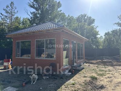 Отдельный дом · 6 комнат · 250 м² · 10 сот., Остров за 100 млн ₸ в Семее