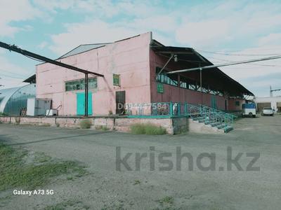 Маслоцех · 3300 м² за 400 млн 〒 в Семее