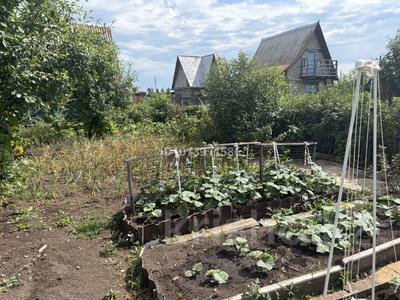 Дача · 2 комнаты · 45 м² · 11 сот., Тюльпан за 2 млн ₸ в Кокшетау