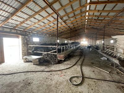 Продажа промбаз и заводов в Мангистауской обл.: Промбаза · 25 соток, Производственная база 6 36/7 за 39.5 млн 〒 Промбаза · 25 соток, Производственная база 6 36/7 за 39.5 млн 〒 в Мангышлаке