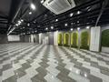 Свободное назначение · 508 м² за 3.5 млн ₸ в Семее — фото 9