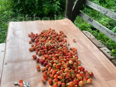 Дача · 3 комнаты · 48 м² · 12 сот., С/Т Золушка 6 за 5 млн 〒 в Усть-Каменогорске