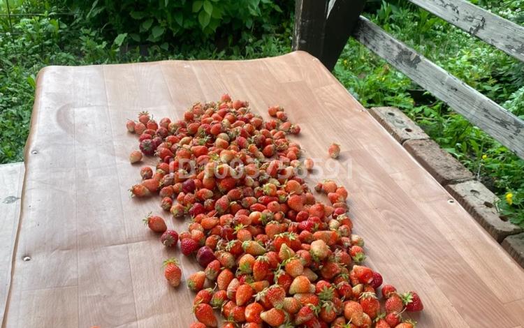 Дача · 3 комнаты · 48 м² · 12 сот., С/Т Золушка 6 за 5 млн 〒 в Усть-Каменогорске — фото 2