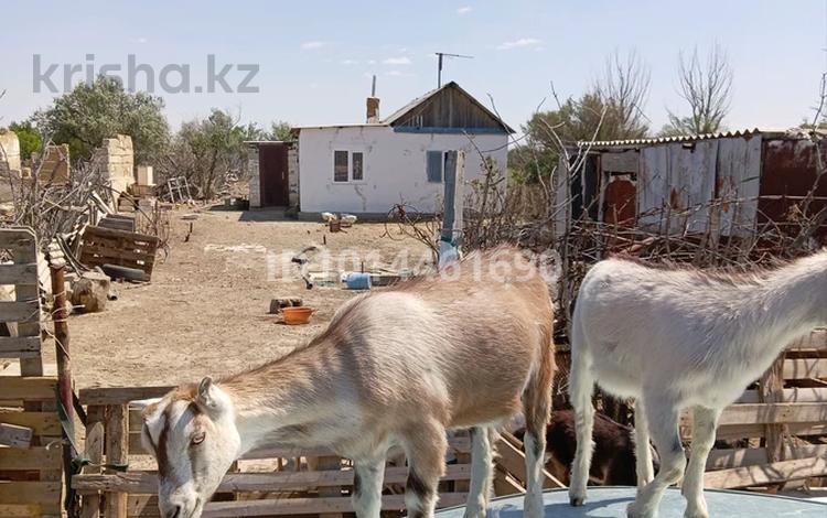 Дача · 2 комнаты · 35 м² · 12 сот., Акжар-2 — Талкайран-2 Садогород. Нефтеперерабочик 67 за 3.5 млн ₸ в Атырау — фото 2