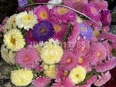 Саяжай · 1 бөлме · 20 м² · 10 сот., Садовая 2 — Садоводческое общество « Экспресс» за пос. Коянды, бағасы: 7.5 млн 〒 в Астане, р-н Байконур