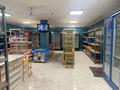 Магазины и бутики • 120 м² за 55 млн 〒 в Алматы, Алатауский р-н — фото 28