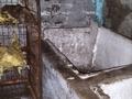Гараж · Жастар 1 — Кооператив Спортивный за 2.5 млн ₸ в Усть-Каменогорске — фото 11