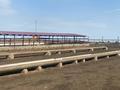 Крестьянское хозяйство · 20000 м² за 320 млн ₸ в Бадаме — фото 7