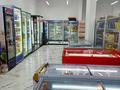 Бизнес Продуктовый магазин, 140 м² за 27 млн 〒 в Астане, Нура р-н — фото 8