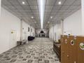 Действующий бизнес · 1400 м² за 80 млн ₸ в Сарыагаш — фото 10