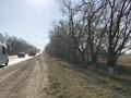 Жер телімі · 1 га, Жамбыл, бағасы: 130 млн ₸ — фото 2