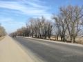 Жер телімі · 1 га, Жамбыл, бағасы: 130 млн ₸ — фото 5