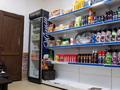 Офисы, магазины и бутики, азс, автосервисы и автомойки · 316 м² за 160 млн ₸ в Алматы, Наурызбайский р-н — фото 32