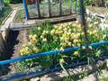 Жеке үй · 6 бөлме · 150 м² · 6 сот., Башикова 45, бағасы: 16.9 млн ₸ в Усть-Каменогорске — фото 7