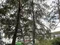 1 бөлме · 15 м² · 1 қабат, Есенберлина 26 2, бағасы: 5 000 ₸ в Бурабае — фото 7