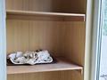 2-комнатная квартира · 48 м² · 4/4 этаж, Жандосова 172 — Жандосова саина за 230 000 ₸ в Алматы, Ауэзовский р-н — фото 9