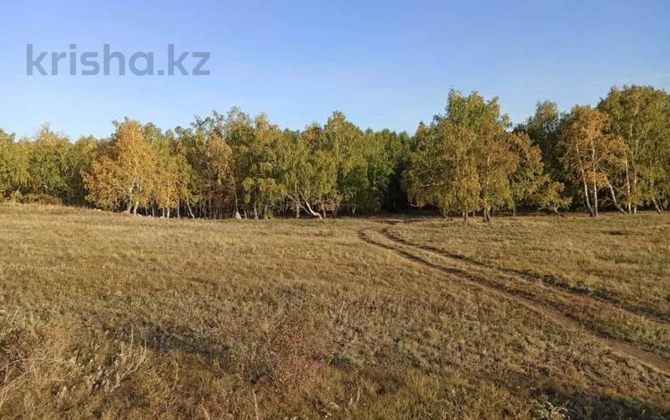 Жер телімі · 50 сотық, Село Жокей, бағасы: 14 млн ₸ в  — фото 17