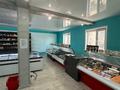 Рыбный Пивной магазин · 400 м², бағасы: 530 млн ₸ в Костанае — фото 8