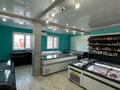 Рыбный Пивной магазин · 400 м², бағасы: 530 млн ₸ в Костанае — фото 10