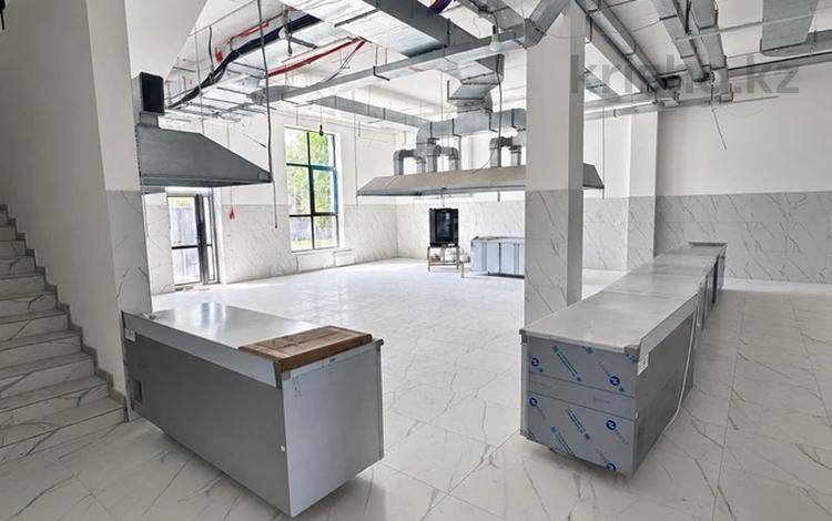 Еркін, қоғамдық тамақтану орны · 900 м², бағасы: 6.3 млн ₸ в Астане — фото 2