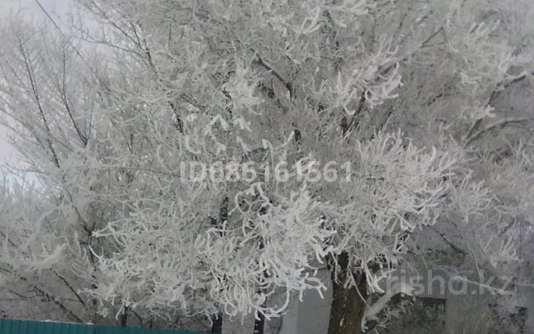 Жеке үй · 3 бөлме · 66 м² · 16 сот., Алтай 8, бағасы: 15 млн ₸ в Самарском — фото 2