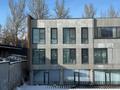 3-комнатная квартира · 230 м² · 2/3 этаж, мкр Каменское плато, Кербулакская 8/1 к1 за 2 млн ₸ в Алматы, Медеуский р-н — фото 52