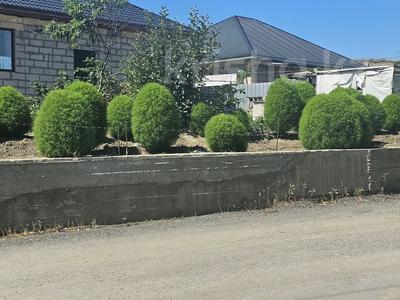 Участок · 50 соток, Улгили 90 — Мкрн. Улгили 90 за 20 млн ₸ в Коксай (пути Ильича)