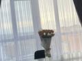 2-комнатная квартира · 100 м² · 10/10 этаж, мкр. Алтын орда, Санкибай батыра 40в за 35 млн ₸ в Актобе — фото 4