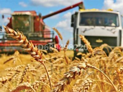 Продажа промбаз и заводов в Северо-Казахстанской обл.: Промбаза · 5 га, Южный 17 за 1 млн 〒 Промбаза · 5 га, Южный 17 за 1 млн 〒 в Кишкенеколе