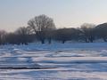 Жер телімі · 50 сотық, Ууу, бағасы: 10 млн ₸ в Алматинской обл. — фото 25