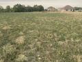 Участок · 15 соток, Жабалама за 12.9 млн ₸ в Каскелене — фото 4