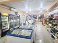 Магазины и бутики · 216 м² за 48 млн 〒 в Жамбыл (Жамбылский район) — фото 7