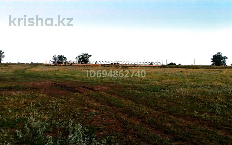 Жер телімі · 62.15 га, Акколь, бағасы: 28 млн ₸ — фото 2