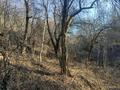Дача · 2 комнаты · 50 м², мкр Кенсай за 6 млн ₸ в Алматы, Медеуский р-н — фото 4
