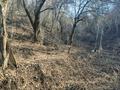 Дача · 2 комнаты · 50 м², мкр Кенсай за 6 млн ₸ в Алматы, Медеуский р-н — фото 5
