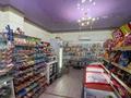 Магазины и бутики • 240 м² за 100 млн 〒 в Астане, р-н Байконур — фото 5