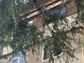 3-комнатная квартира · 70 м² · 5/5 этаж, 17-й микрорайон 7А — Еримбетова, возле алеи за 30 млн ₸ в Шымкенте, Аль-Фарабийский р-н — фото 15