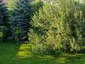 Дом · 5 комнат · 350 м², мкр Ерменсай, Торангы 2 за 150 000 〒 в Алматы, Бостандыкский р-н — фото 32