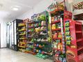 Магазины и бутики • 53.3 м² за 20 млн 〒 в Актау, 22-й мкр — фото 8