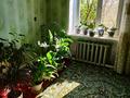 Отдельный дом · 3 комнаты · 64 м² · 7 сот., Набережная 47_1 за 13.8 млн ₸ в  — фото 6