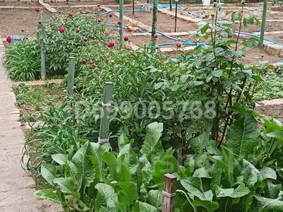 Участок · 5 соток, Актау за 9 млн 〒