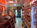 Магазины и бутики • 120 м² за 50 млн 〒 в Шымкенте, Аль-Фарабийский р-н — фото 10