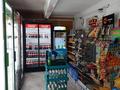 Магазины и бутики • 120 м² за 50 млн 〒 в Шымкенте, Аль-Фарабийский р-н — фото 3