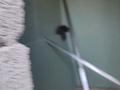 Часть дома · 2 комнаты · 88 м² · 8 сот., Дибаева 88 — Нефтебаза за ~ 10 млн ₸ в Туркестане — фото 2
